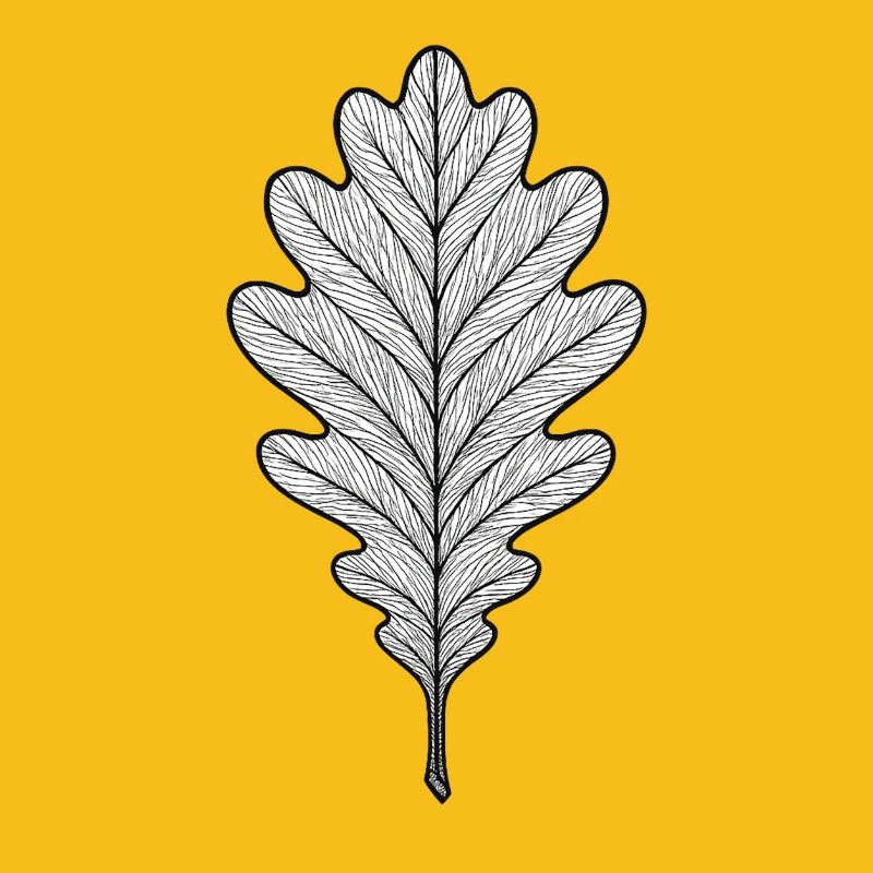 Monochromes Eichenblatt-Design