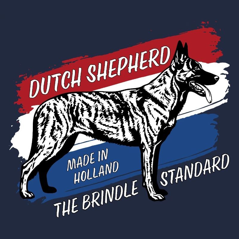 Dutch Shepherd - Dutchie 