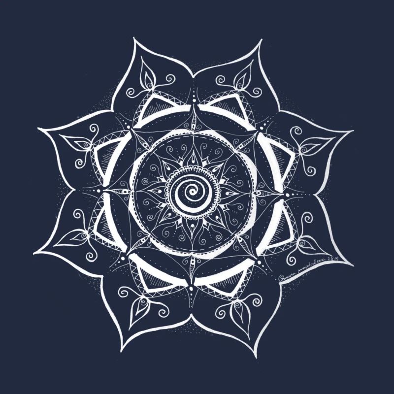 Mandala Spider Web Design