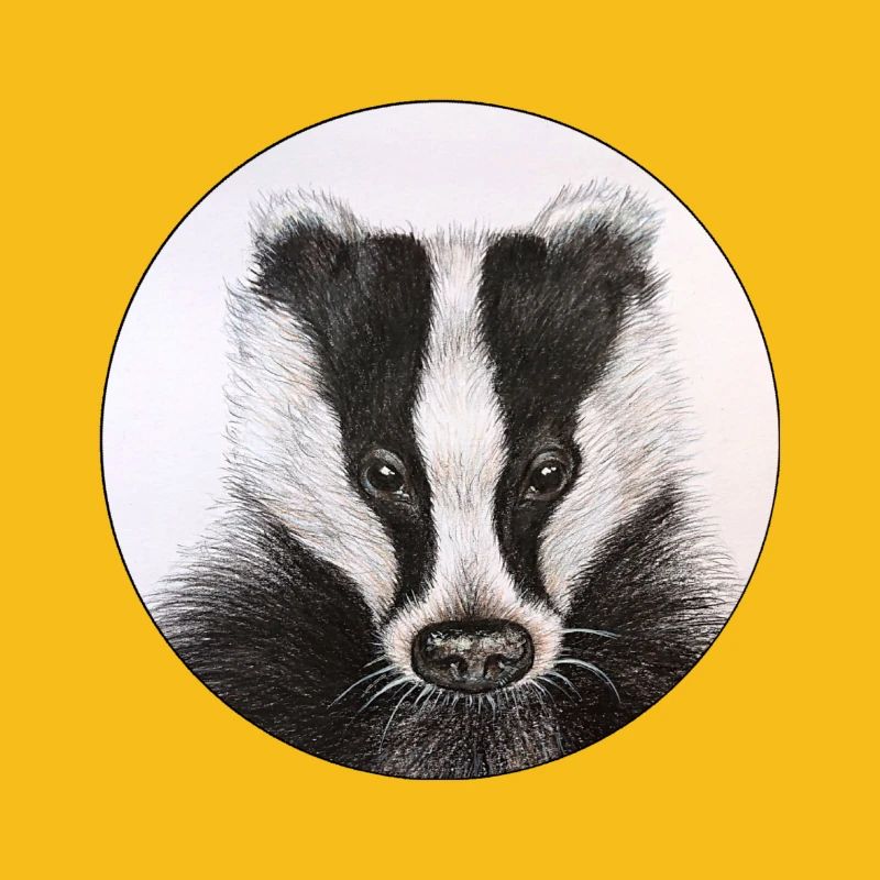 Badger /Badger