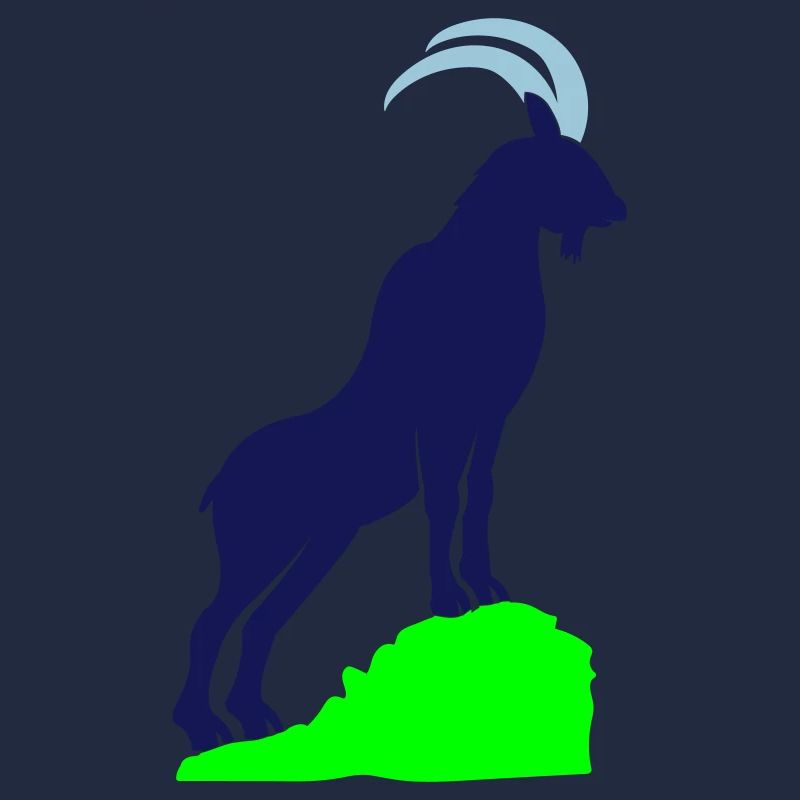 steinbock 02