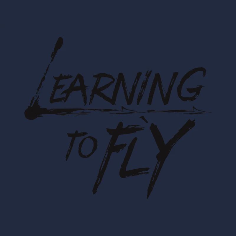 Learning to fly Flying Airplane Pilot Flyer