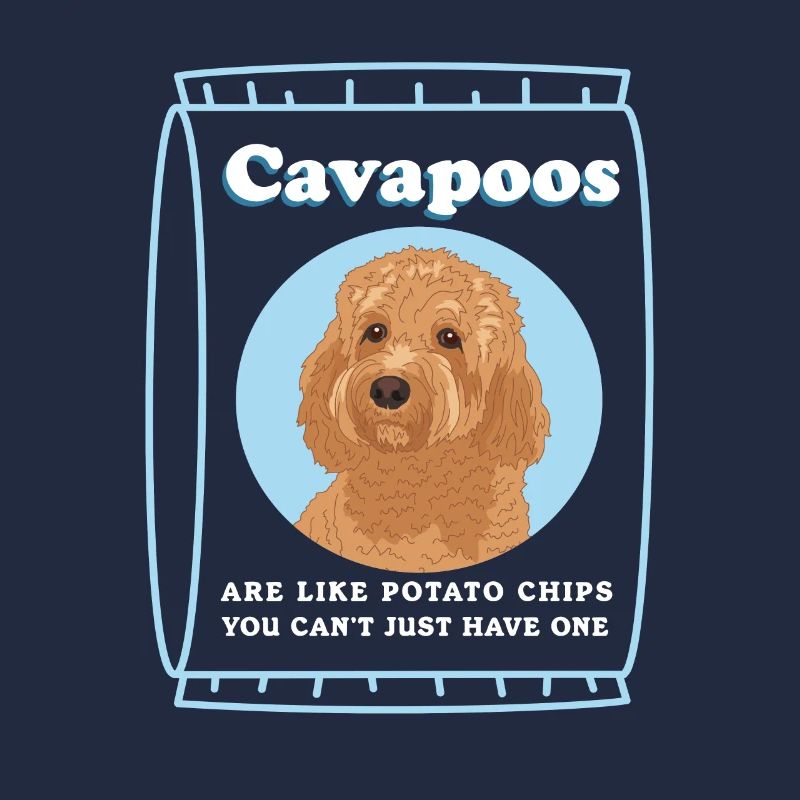 Cavapoo Hund | Cavoodle Hundebesitzer Geschenk