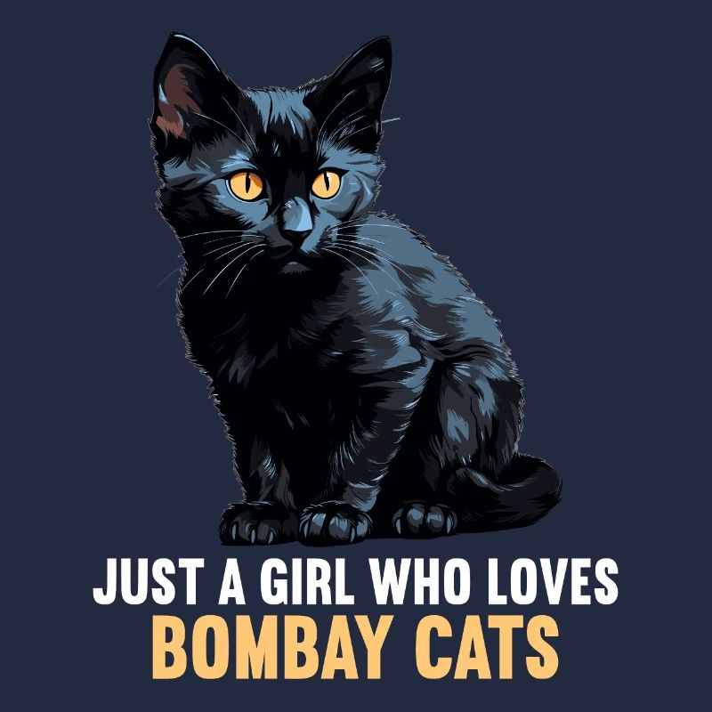 Chat de Bombay Bombay Katze