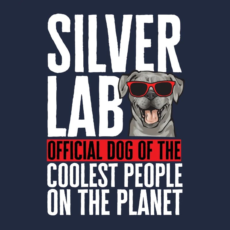 Silver Labrador Retriever Silver Lab