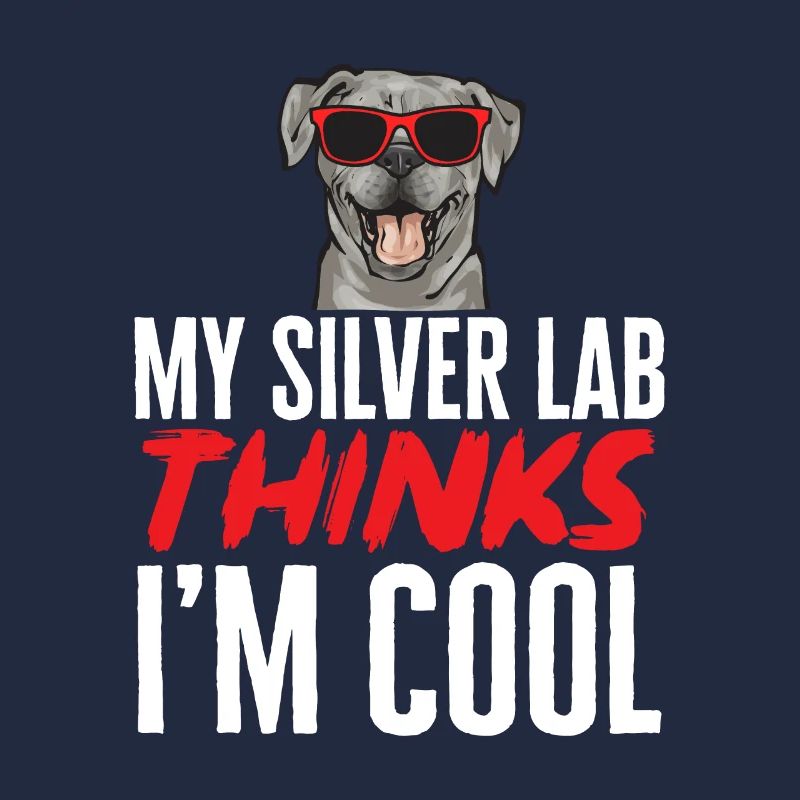 Silver Labrador Retriever Silver Lab