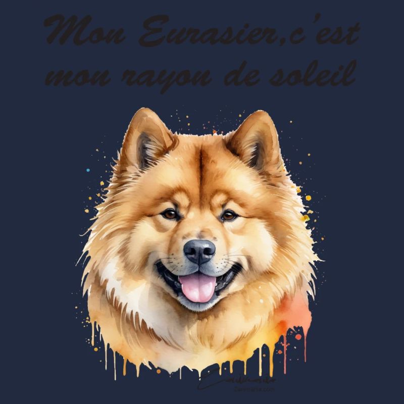 Eurasier rayon de soleil