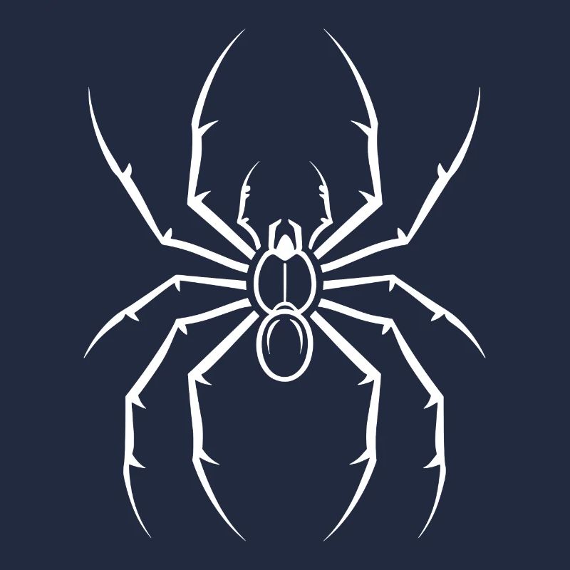 Spinne