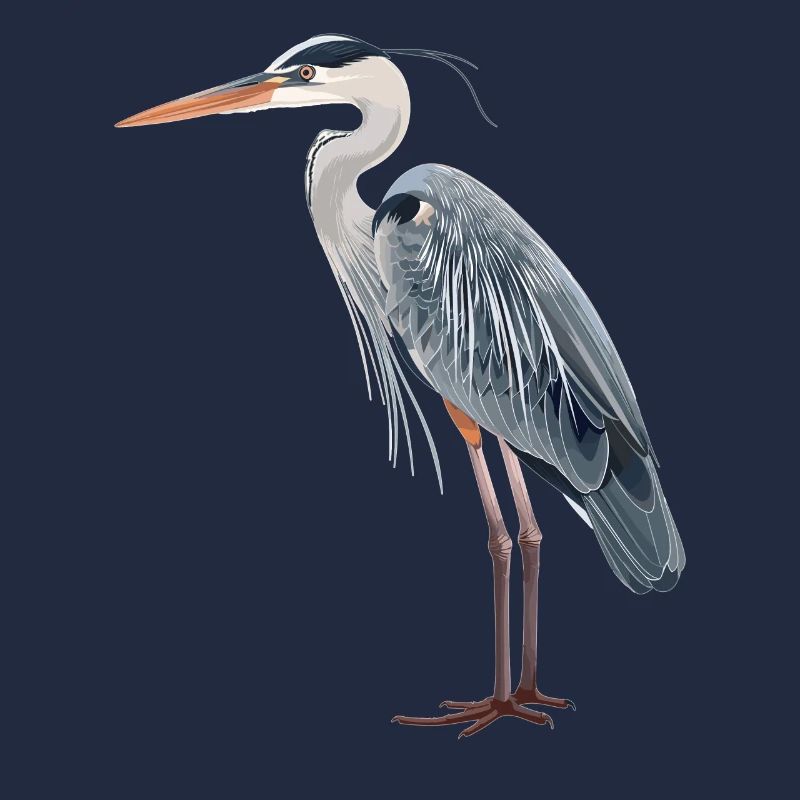 Heron Reiher