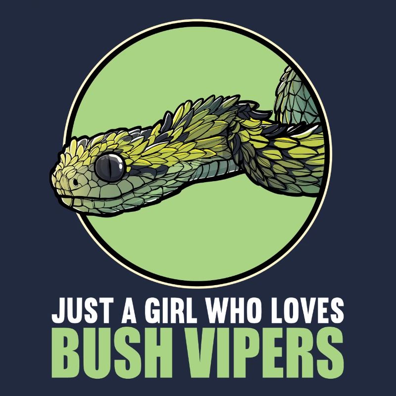 Vipères de brousse Vipère de brousse