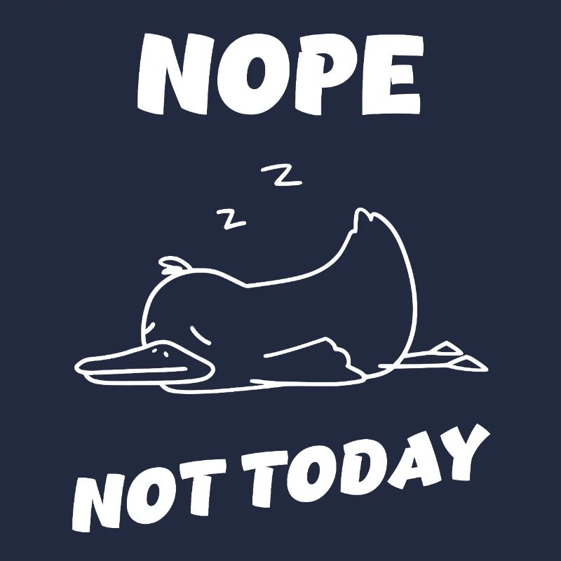 Nope Duck – Heute wird nichts!