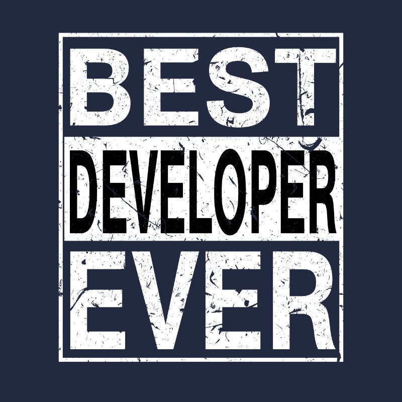 Best Developer Ever Developer Gift
