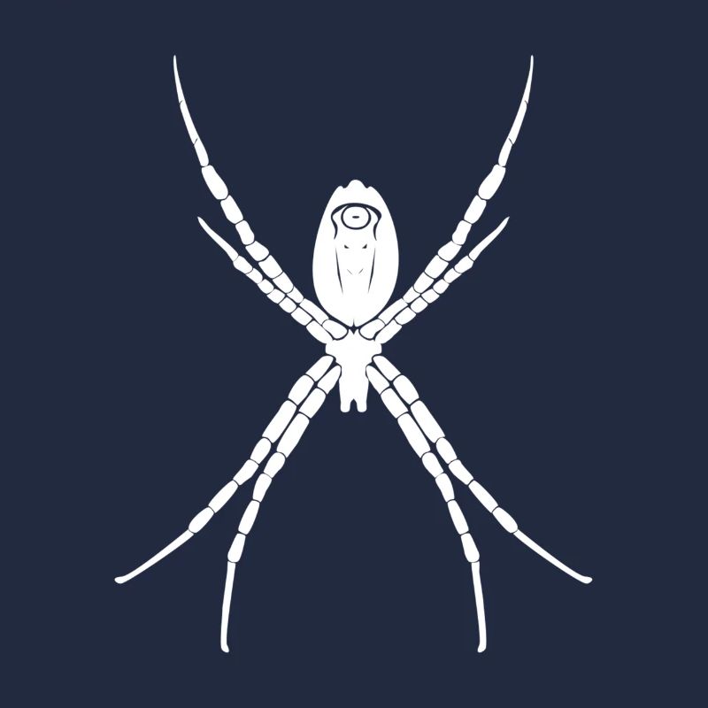 araignée