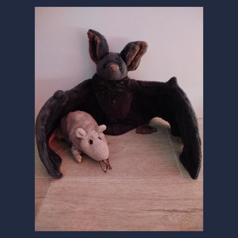 Night Wing Bat and Mouse