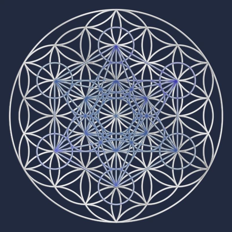 Le cube de Metatron - Fleur de la vie