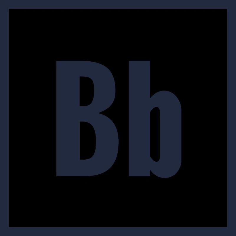 Point (B)