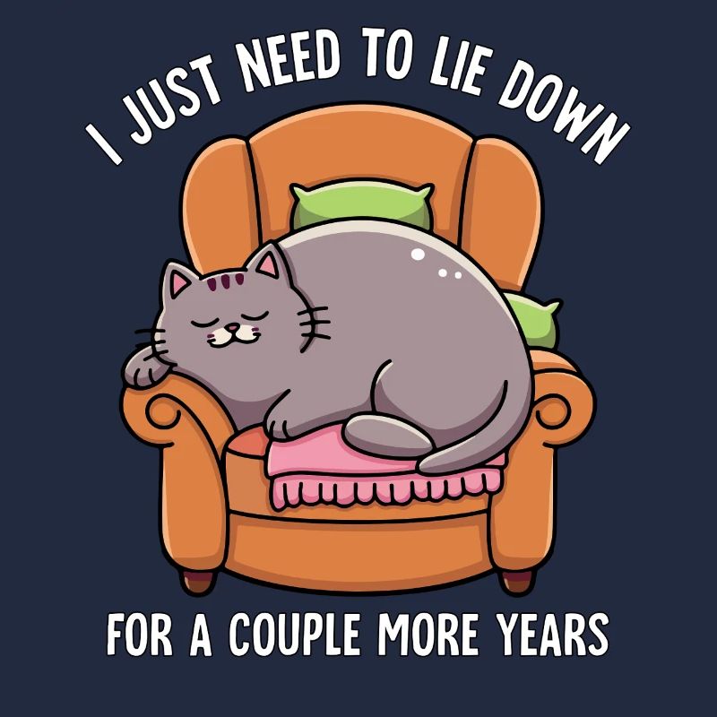 Sleeping Lazy Cat