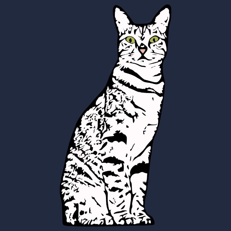 Chat Blanc Blanc Chats Chaton mignon