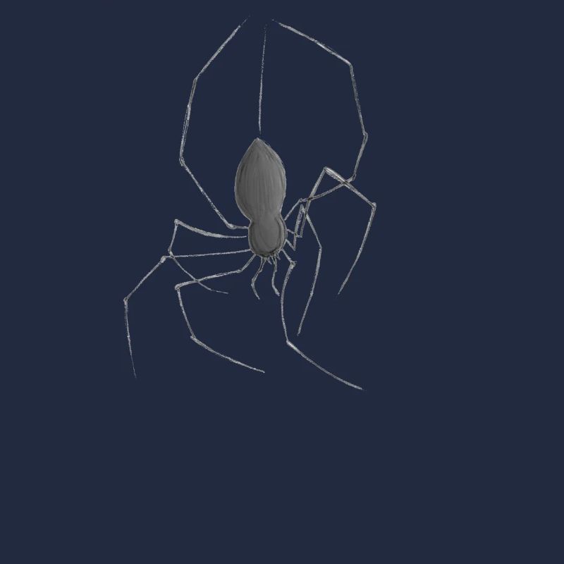 Araign? e