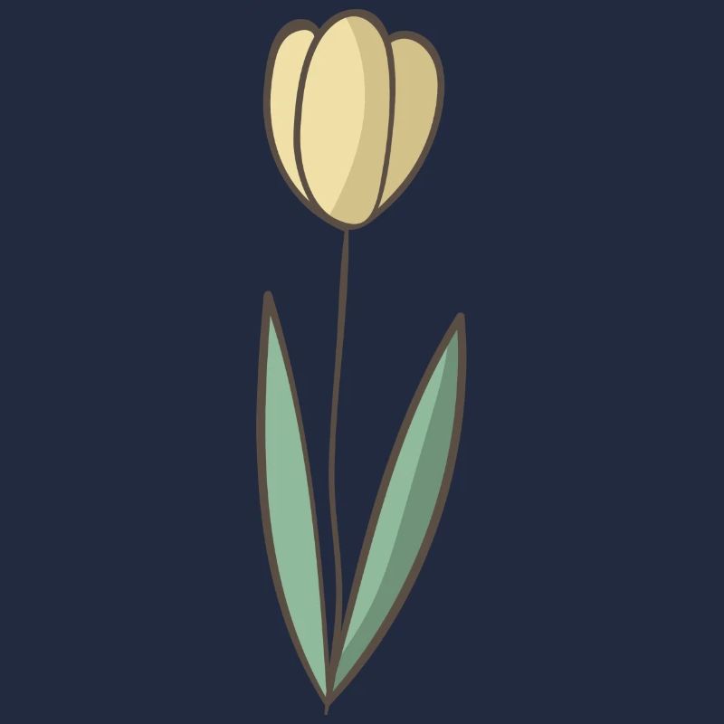 Tulpe
