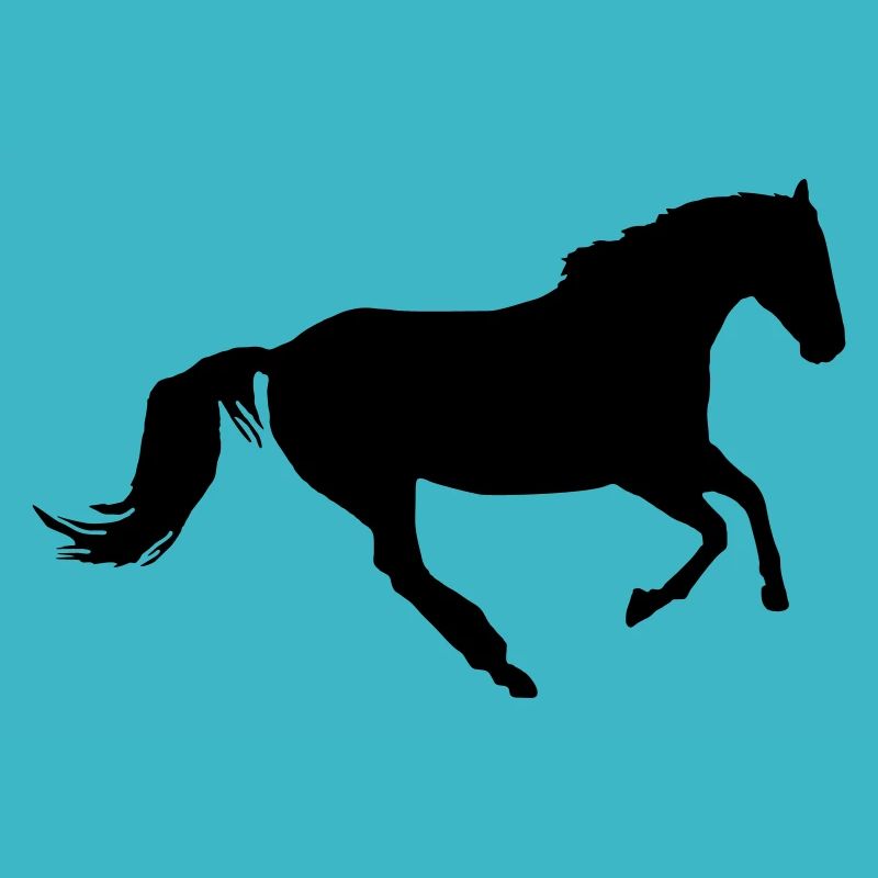 Horse at a gallop