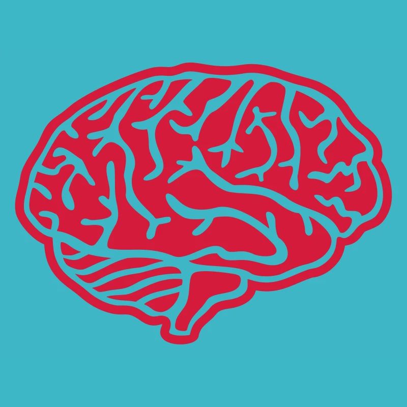 Cerveau