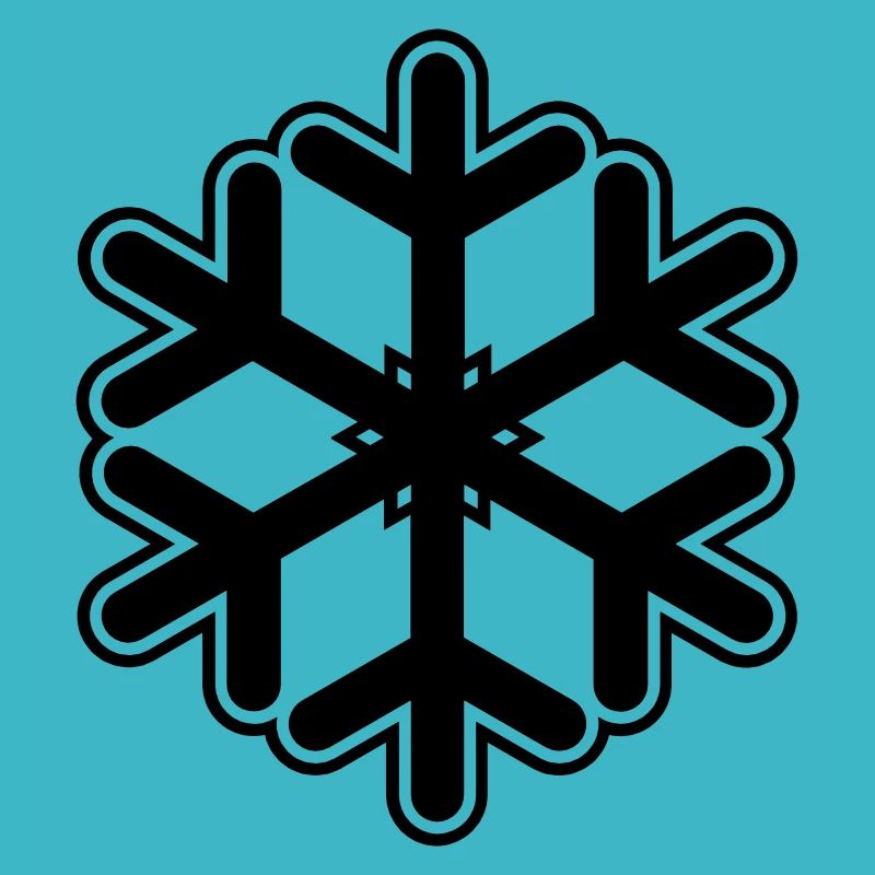 Neige flocon de neige