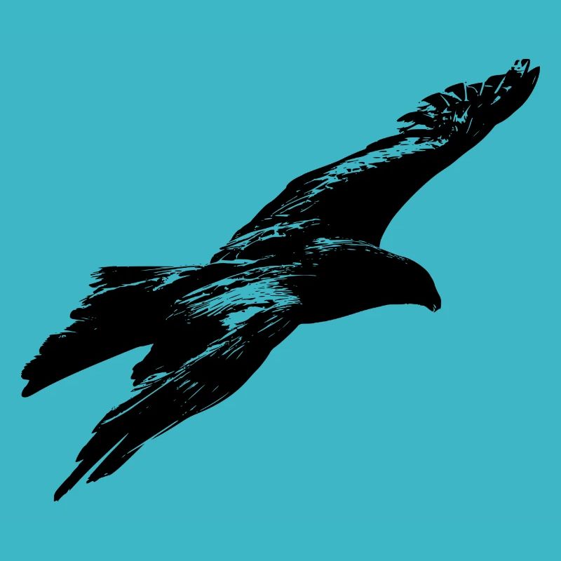 aigle