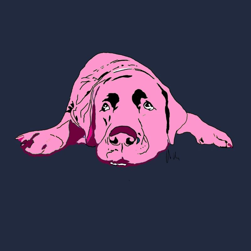 Labrador
