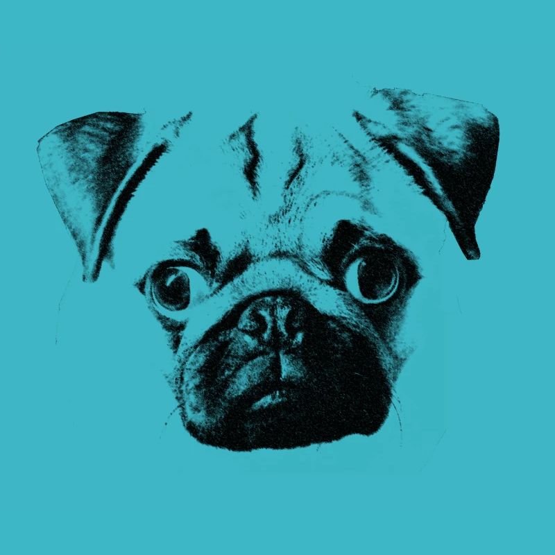 pug face