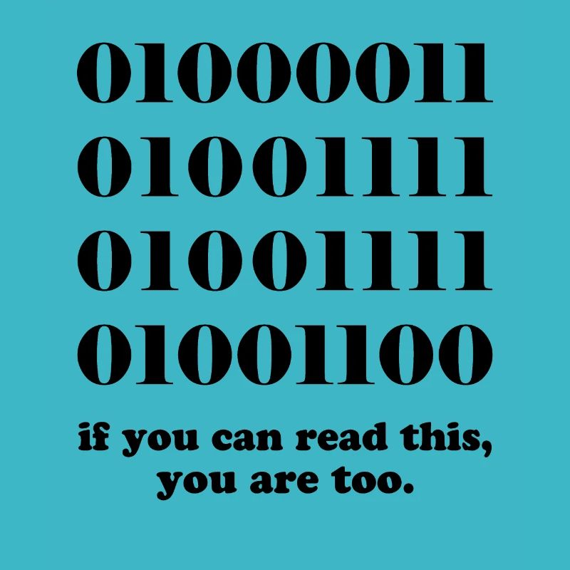 Computer binary code developers gift