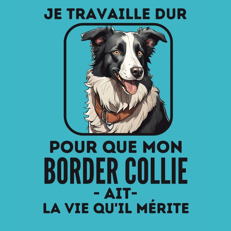 Chien de race border collie 5
