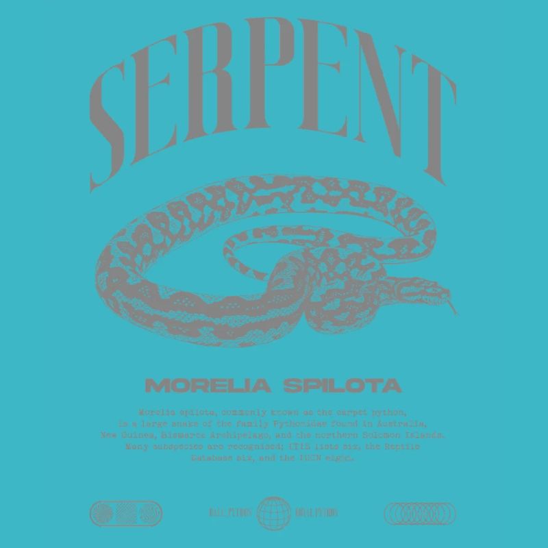 Tapis Python Moderne Reptile Keeper Streetwear