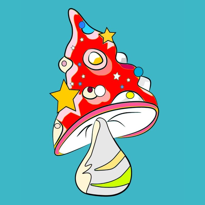 Red mushroom - fly agaric