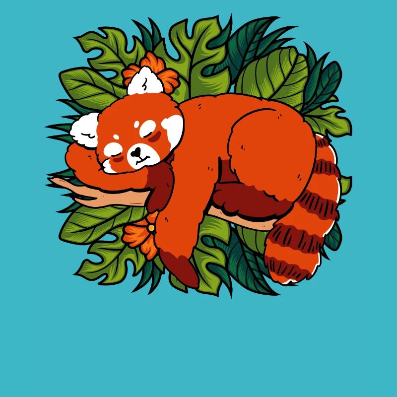 Chat Ours Petit Panda