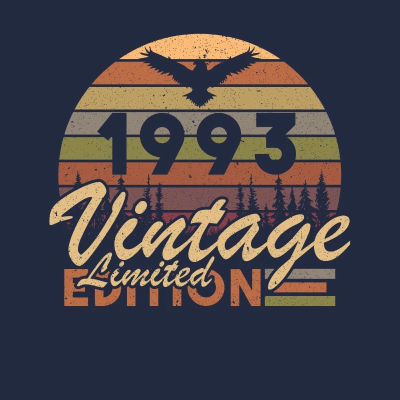 1993 Vintage Retro Geburtstagsgeschenk