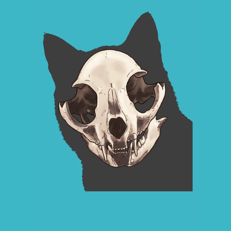 Crâne de chat