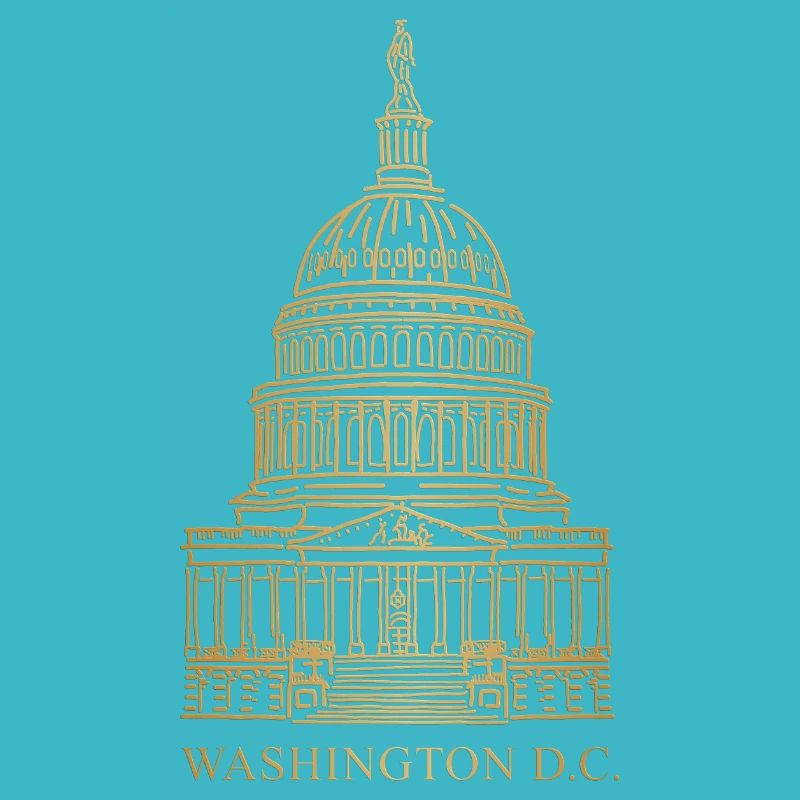 Capitole, siège du Congrès Washington D.C., États-Unis