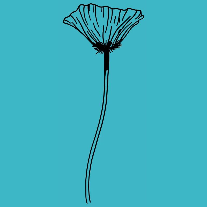 Fleur de pavot