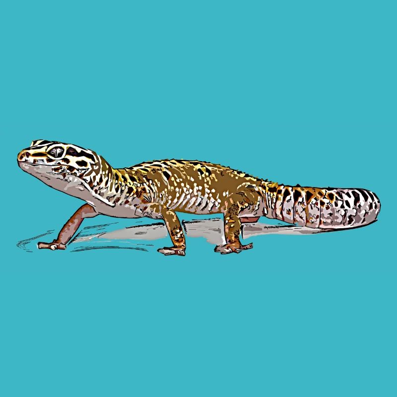 Leopard gecko