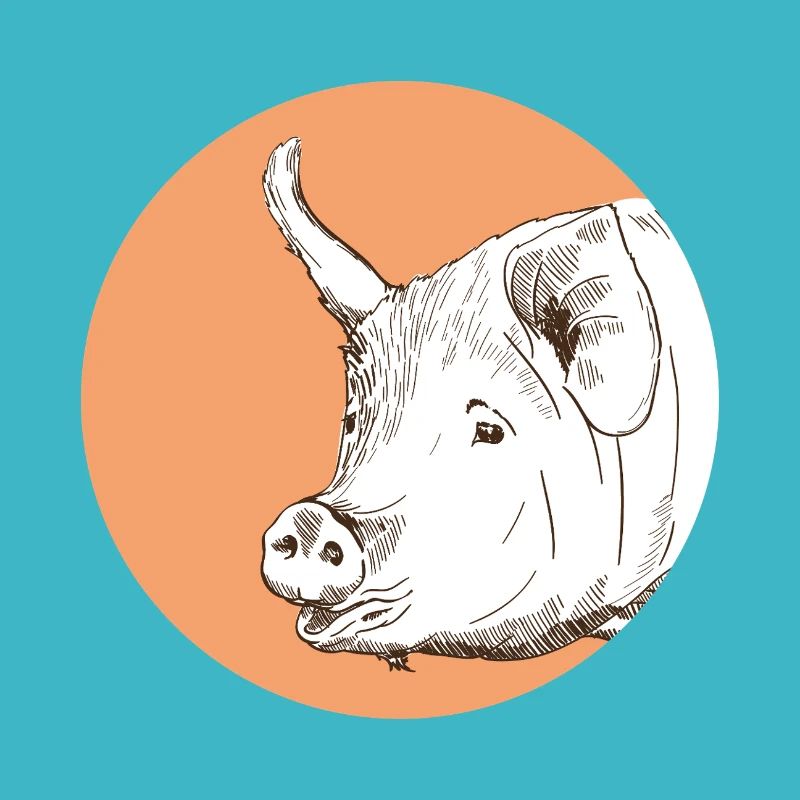 Cochon