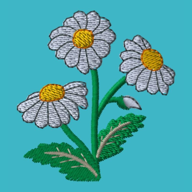 Gänseblümchen