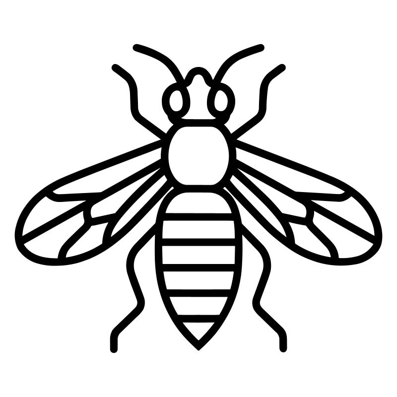 wasp