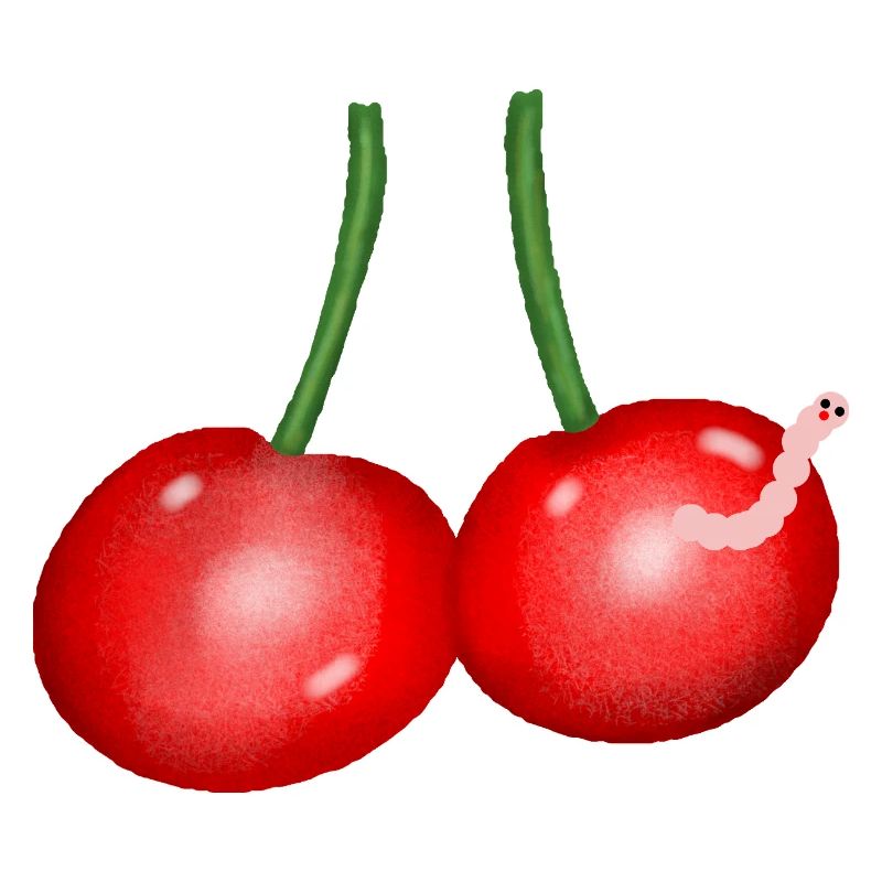 Cherries Cartoon Worm Fruit Cherry