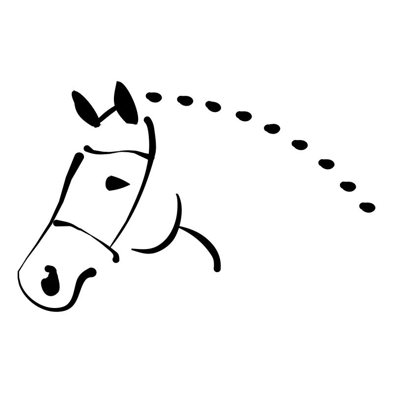 equitation