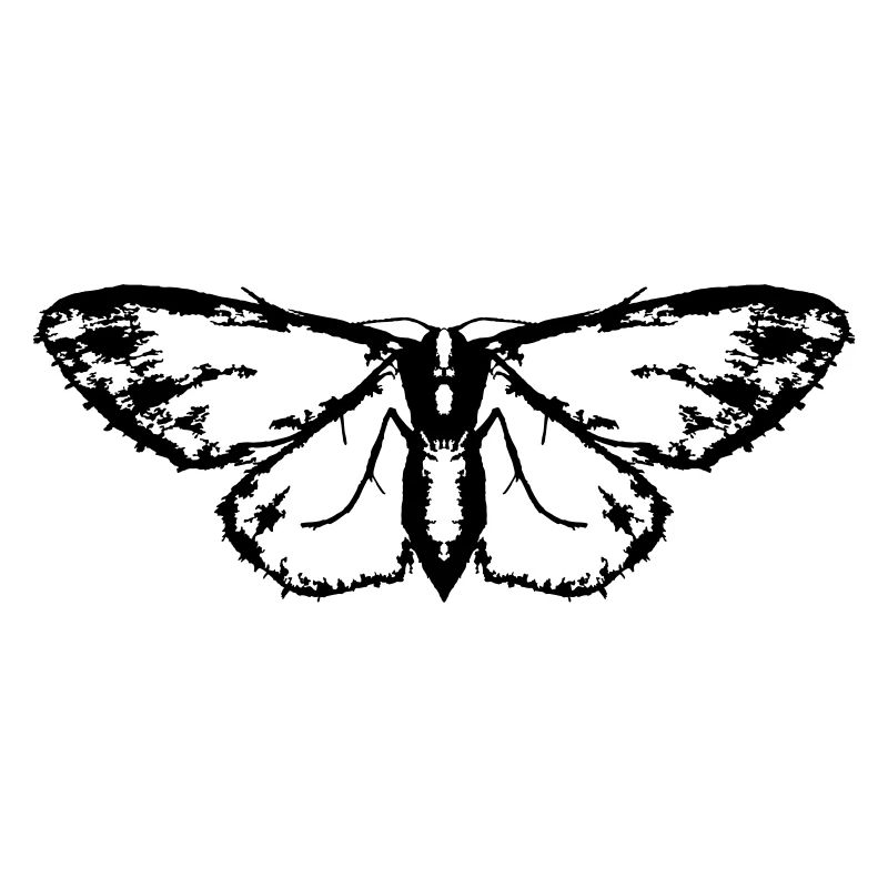 Papillon / Papillon / Papillon