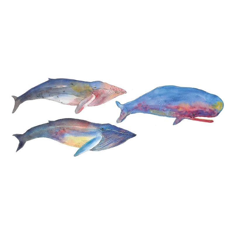 Mug panorama baleines