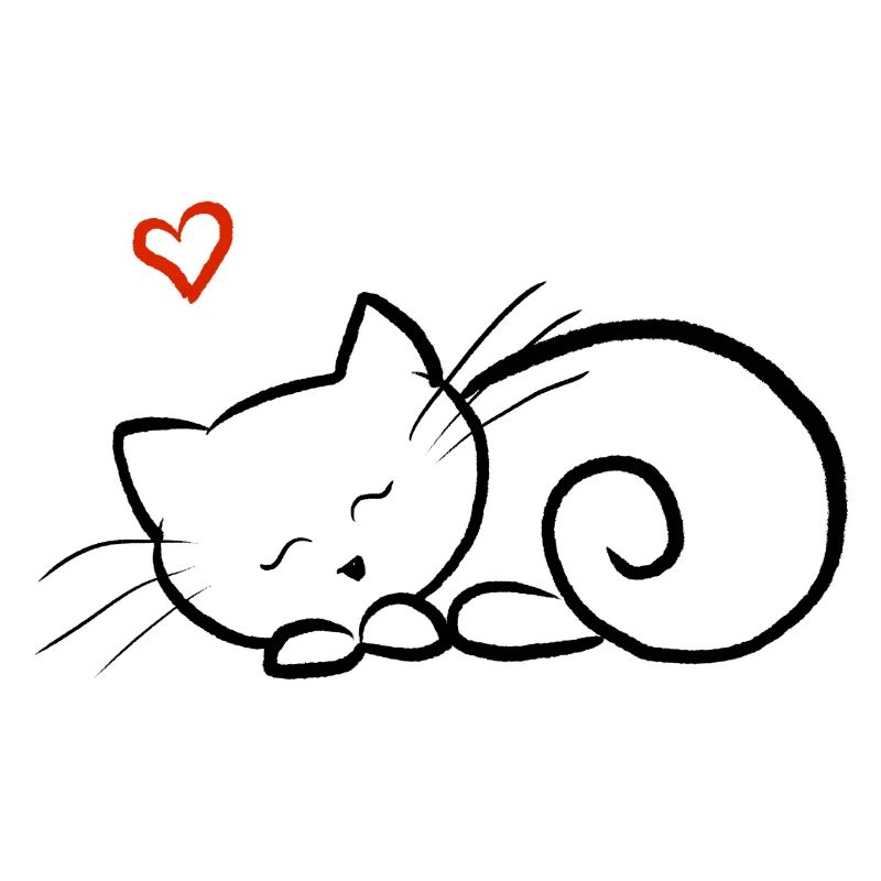 Kitten sleeping