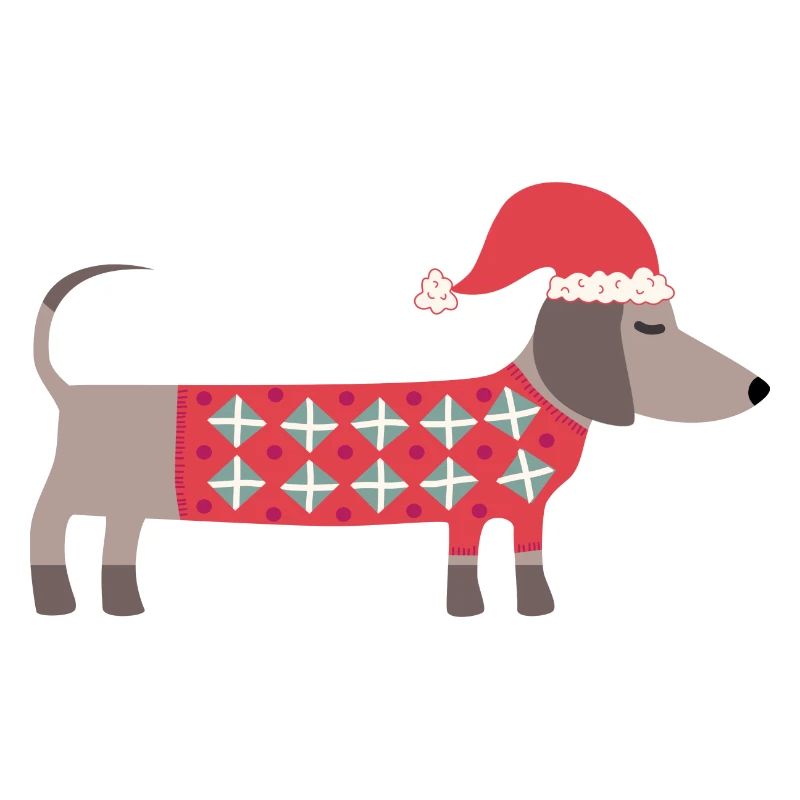 Chien teckel de Noël avec un chapeau de Père Noël et un pull