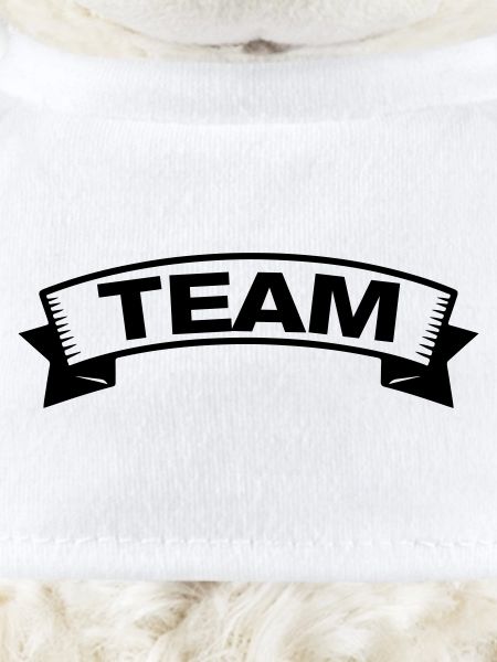 Team Banderole